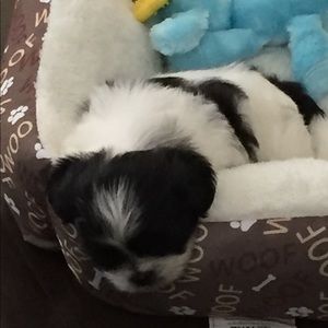 Meet your Posher, Lorna